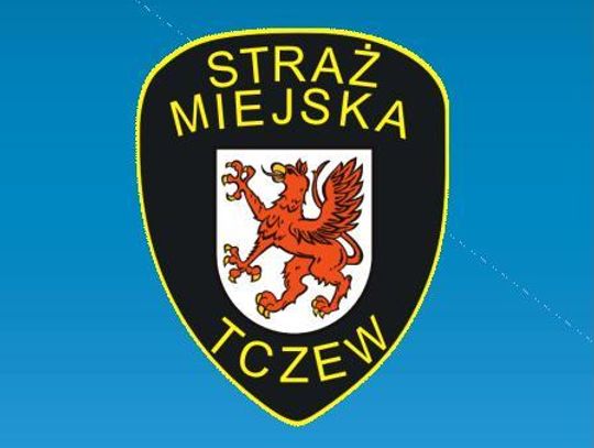 Prawie 10 tys. interwencji straży miejskiej w 2012 roku