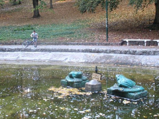 Prezydent Tczewa pozwany w trybie wyborczym! Kandydat na radnego uważa, że skłamał w sprawie parku