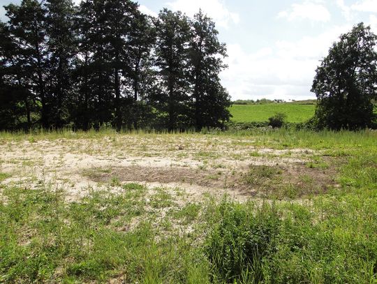 Problemy z Orlikiem w Opaleniu