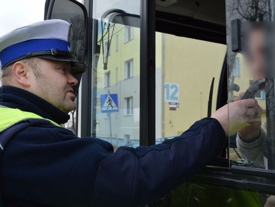 Prześwietlili TIR-y i autobusy. Posypały się mandaty!