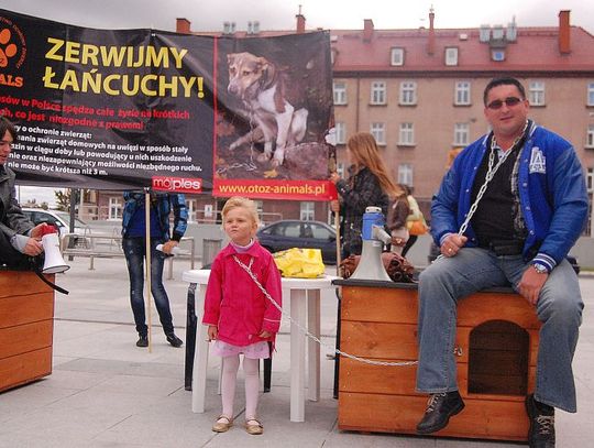 Przykuci do budy. Akcja „animalsów”: Precz z półmetrowymi łańcuchami!