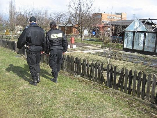 Raj dla włamywaczy. Tu przestępczość dosłownie kwitnie