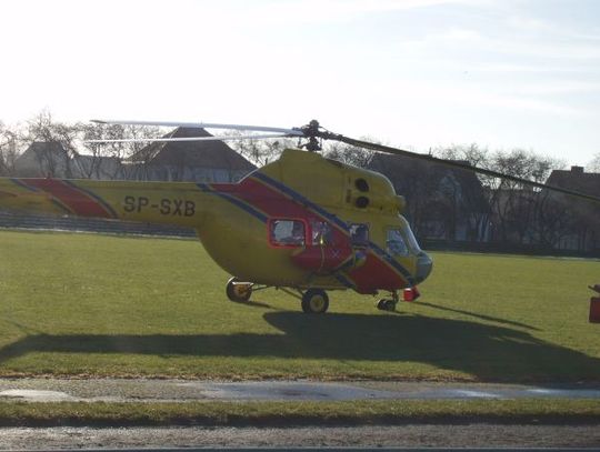 Ranna osoba w zderzeniu z drzewem