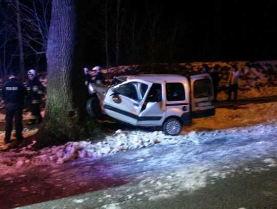 Renault wjechał w drzewo. Dwie osoby poszkodowane