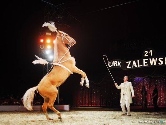 Rozdajemy bilety do cyrku! 4 podwójne zaproszenia
