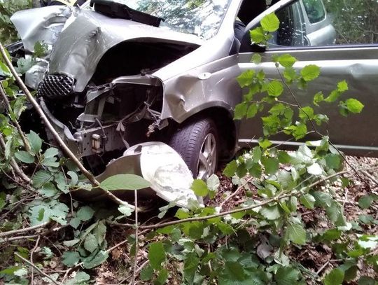 Samochód uderzył w drzewo w Liniewku