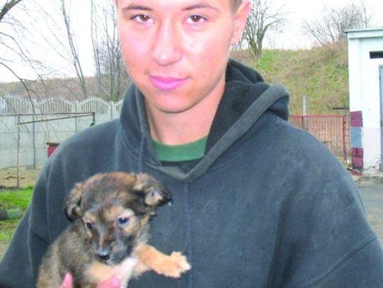 Schronisko czeka na wolontariuszy - potrzeby „braci mniejszych” w azylu