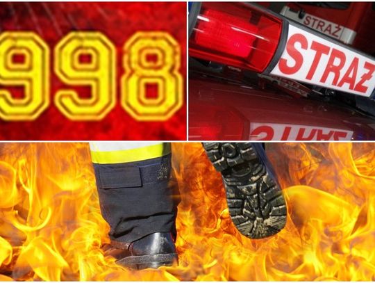 Śmierć kierowcy na autostradzie, wiatrołomy i pożary sadz. Kronika strażacka 10-16.02.2020