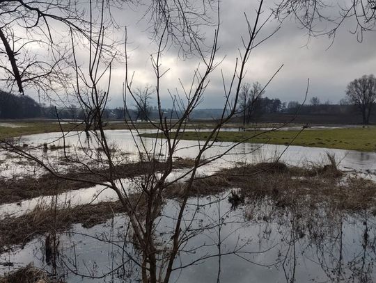 Stan wód w gminie Gniew opada