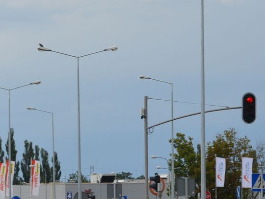 Stare lampy z DK91 do ponownego wykorzystania?