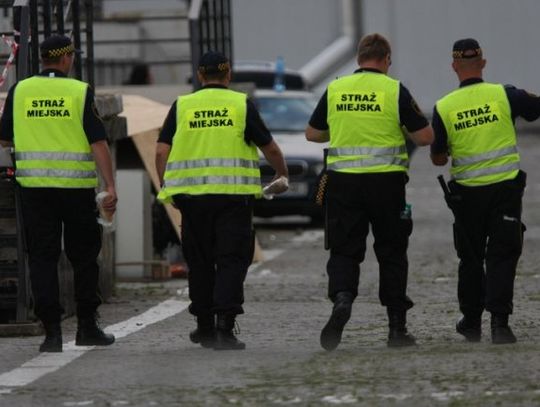 Straszak dla wandali i chuliganów