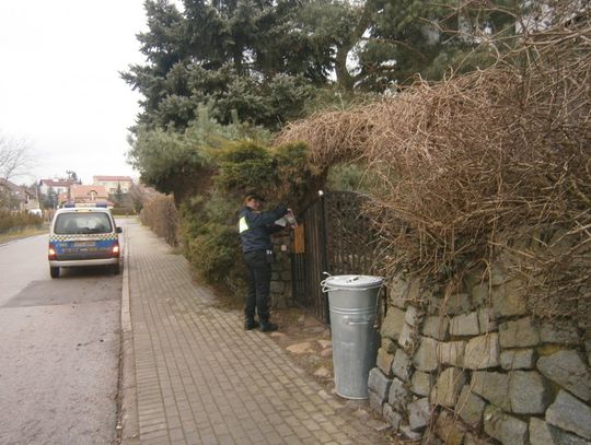 Straż Miejska bez litości dla trucicieli!