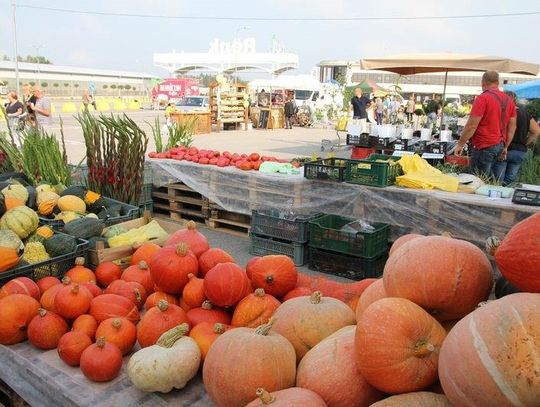 Stu Wystawców w ósmej edycji kiermaszu ogrodniczego „Jesień w ogrodzie”