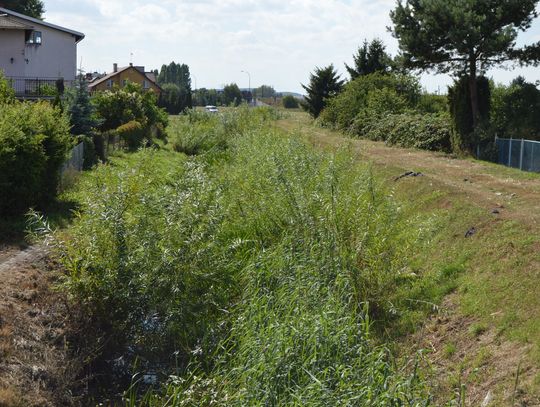 Tak wygląda Kanał Młyński. Zamiast wody, krzaki, fotele, opony...