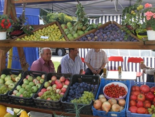 Tczew gospodarzem Krajowych Dożynek Działkowych 2015
