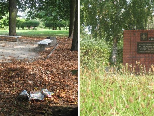Tczewianin oburzony stanem terenu wokół Pomnika Ofiar Stalinizmu. Urząd: "sprzątamy tam dwa razy w tygodniu"