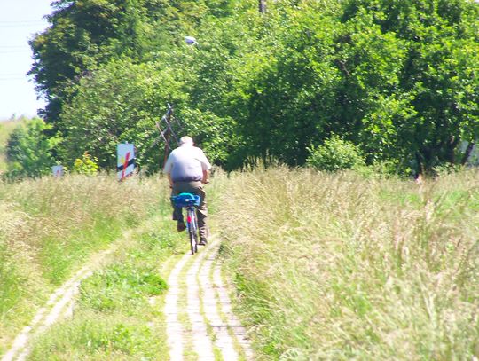 Tczewskie ścieżki rowerowe w coraz gorszym stanie