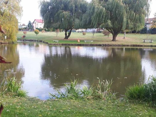 Tragiczne odkrycie na Górkach. Ze stawu wyciągnięto zwłoki mężczyzny 