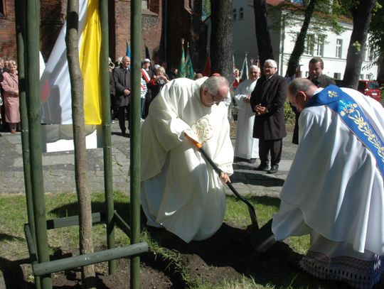 Uhonorowano Jana Pawła II - Dąb dla Wielkiego Polaka