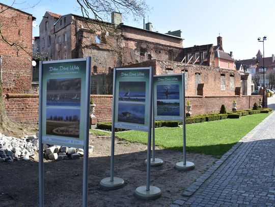 Unikatowy w skali Europy ekosystem na wyciągnięcie ręki! Ciekawa wystawa na gniewskiej starówce