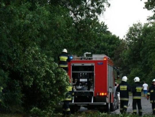 Usuwanie skutków nawałnic wciąż trwa. W powiecie ponad 50 interwencji strażaków!