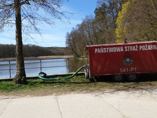 UWAGA! Strażacy kontrolują lasy. Ściółka jest przesuszona. Mamy 3 stopień zagrożenia pożarowego!