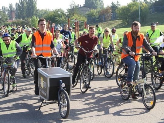 W ciągu doby w centrum odnotowano 1562 przejazdów! Coraz więcej rowerów na ulicach miasta 