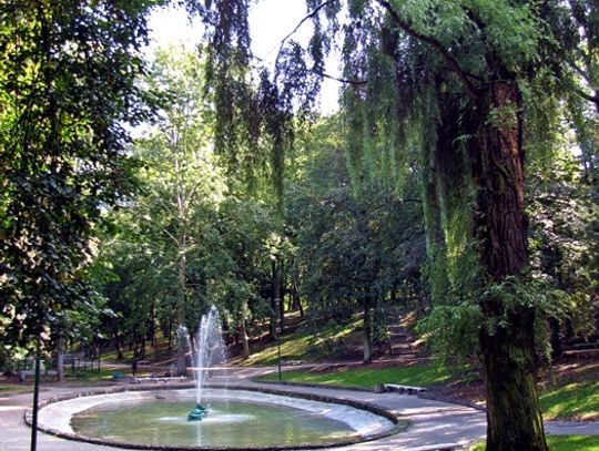 W Parku Miejskim powstanie park linowy? 