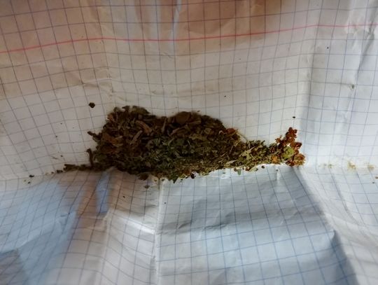 W południe 23-latek szedł ul. Wojska Polskiego w Tczewie. Podjechali do niego "kryminalni"...