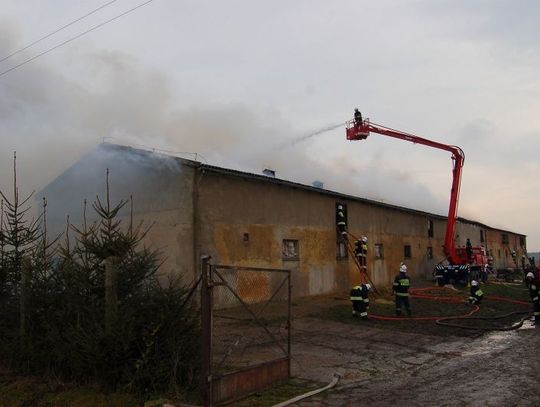 W Pomyjach spłonął budynek chlewni