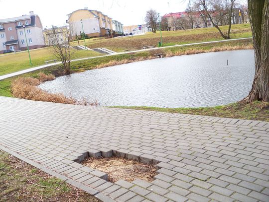 Wandale mają rozrywkę. Wyrywają kostkę i wrzucają do stawu