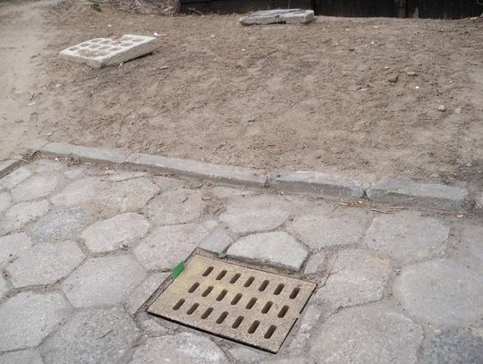 Wandale mają się dobrze