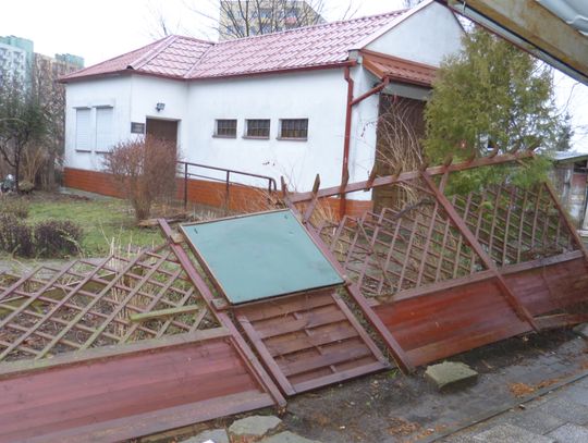 Wandale zdewastowali niepełnosprawnym ogród!