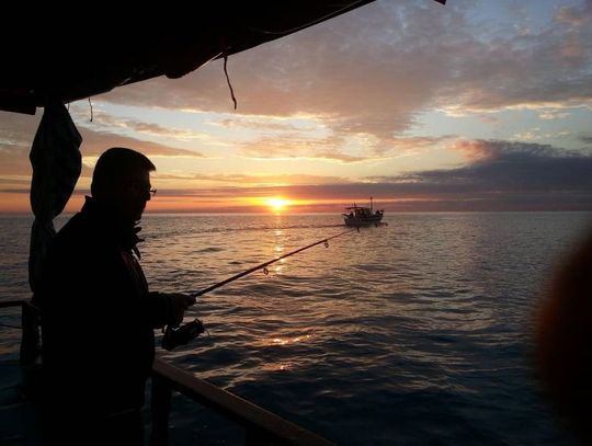 Wędkarstwo sumowe -jak wybrać odpowiednie wyposażenie?