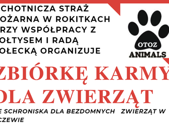 Wesprzyj schronisko dla bezdomnych psów! Strażacy chcą doposażyć placówkę...