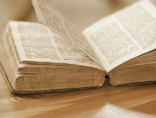 Wiadomo już jakie konkretnie pamiątki miasto kupi od kolekcjonera. To m.in. zdjęcia niemieckich żołnierzy