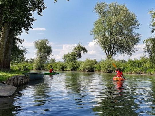 Wierzyca ożywa! Będą przystanie kajakowe oraz pola biwakowe