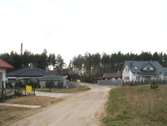 Właścicielka psów z Rokitek usłyszała zarzuty! Grozi jej rok pozbawienia wolności