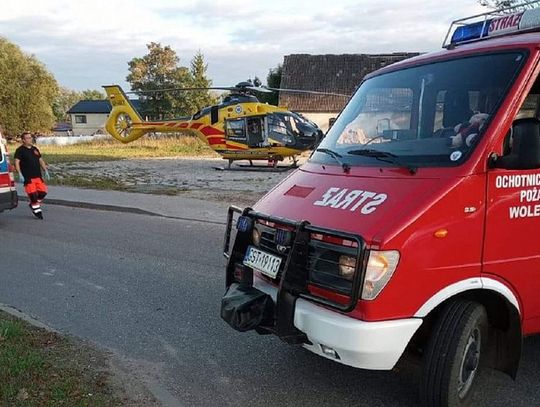 Wójt gminy Skórcz trafił śmigłowcem do szpitala. Został zaatakowany przez byka