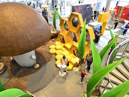 WWW w EXPERYMENCIE czyli Wakacyjne Warsztaty Weekendowe w SIERPNIU [art.spons]