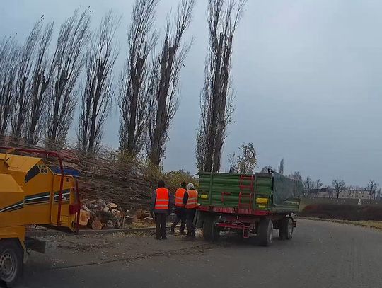 Wycięli ponad 50 drzew. Na bulwarze powstanie nowa kamienica