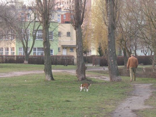 Wydeptane trawniki - zakała tczewskich osiedli?