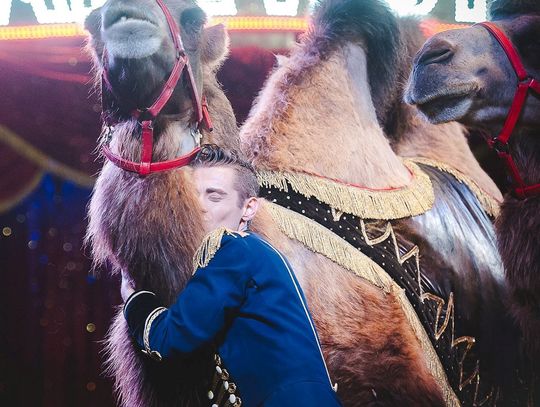 Wygraj bilety na Cyrk Zalewski! Występ już w najbliższą sobotę