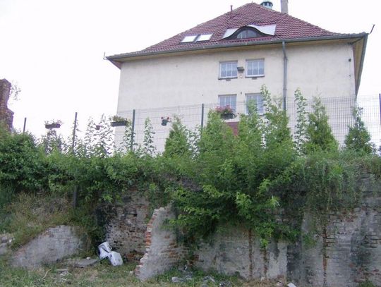 Z sedesem w roli głównej... Alegoria rewitalizacji Starego Miasta?