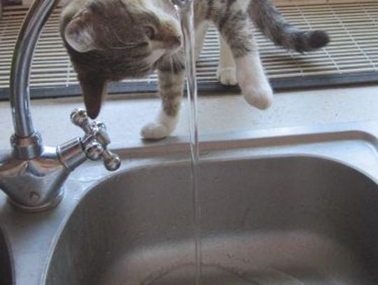 Zabarwiona woda - do picia, mycia czy płukania?