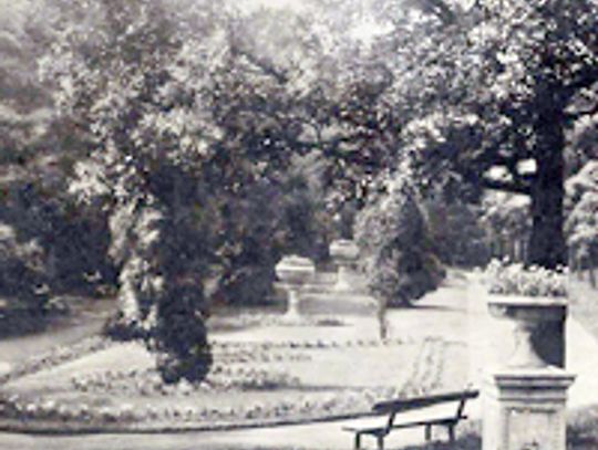 Zadecyduj o zmianach w Parku Miejskim w Tczewie!