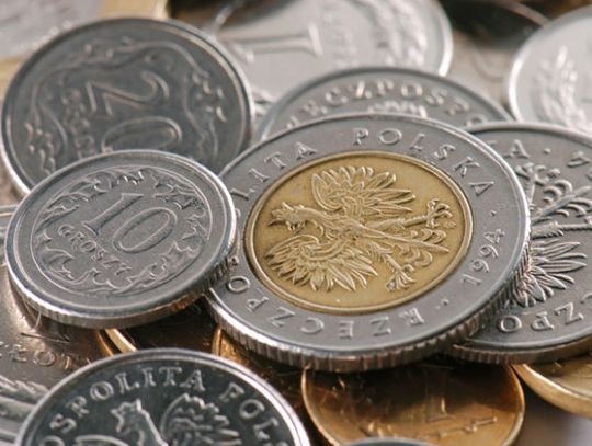 Zarobki tczewian pod lupą. Ile zarabia kucharz czy listonosz?