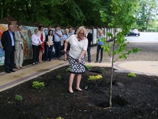 Zasadzono drzewko radiowej „Trójki”