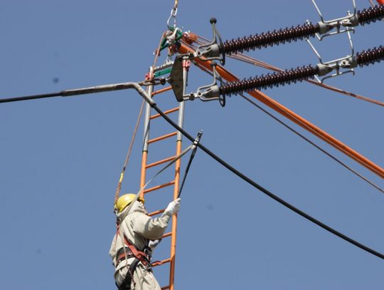 Zasilanie wróciło do tysięcy gospodarstw. Powodem awarii było powalone drzewo