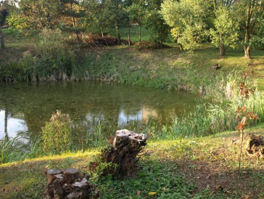 Zasypią staw na Górkach, w którym znaleziono zwłoki?